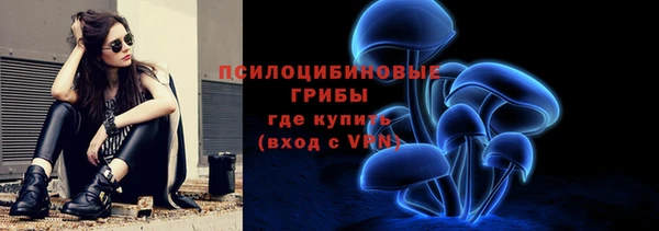PSILOCYBIN Куйбышев