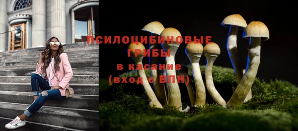 mdpv Лабытнанги