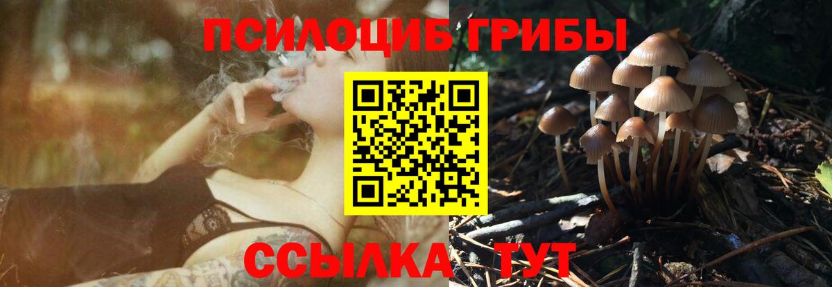 Галлюциногенные грибы ЛСД Евпатория